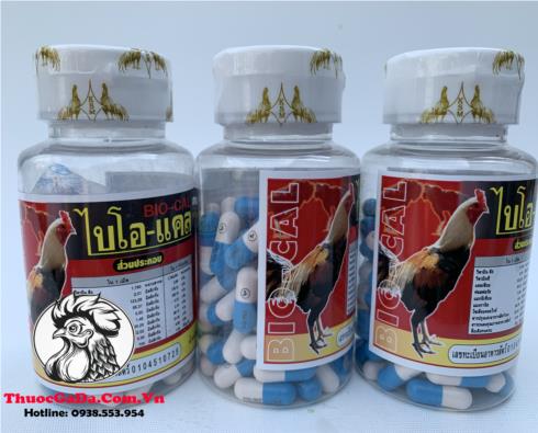 Thuốc Gà Đá BiO-Cal Hổ Trợ Chiến Kê Tăng Cường Canxi Giúp Chắc Xương, Dẻo Dai Tốt - 3 Hộp 300 Viên