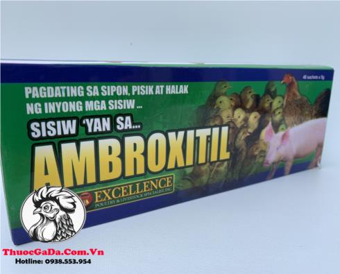 Thuốc Trị Bệnh AMBROXITIL Của Phillipines - Chuyên Trị Bệnh Về Đường Hô Hấp Tốt Nhất Hiện Nay - Hộp 48 Gói