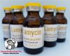 thuoc-lamycin-dac-tri-benh-do-vi-khuan-co-hai-gay-ra-lo-20ml - ảnh nhỏ 3