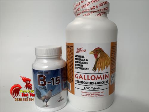 Bộ 2 Thuốc Nuôi Gà Đá B15 (100viên) Và GALLOMIN (1000viên) Giàu Vitamin Gà Tăng Bo Dễ Dàng