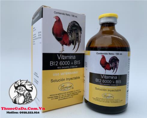 Thuốc Nuôi Gà Đá B12 6000 + B15 Cung Cấp Các Vitamin Và Protein Tạo Năng Lượng, Bổ Sung Dinh Dưỡng - Chai 20ml