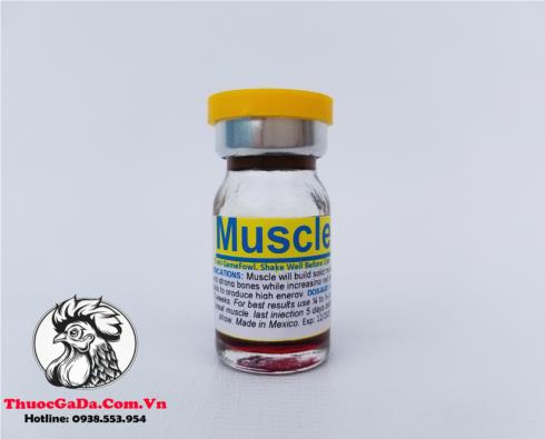 Thuốc Nuôi Gà Đá Muscle Của Mexico Giúp Tăng Cơ, Tăng Cân Hiệu Quả - Chai 5ml