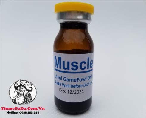 Thuốc Nuôi Gà Đá Muscle Của Mexico Giúp Tăng Cơ, Tăng Cân Hiệu Quả - Chai 10ml