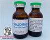thuoc-nuoi-ga-da-gallomax-bo-sung-vitamin-cung-cap-nang-luong-hieu-qua-nhat-thi-truong-den-tu-mexico-chai-10ml - ảnh nhỏ 4