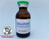 thuoc-nuoi-ga-da-gallomax-bo-sung-vitamin-cung-cap-nang-luong-hieu-qua-nhat-thi-truong-den-tu-mexico-chai-20ml - ảnh nhỏ  1