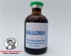 thuoc-nuoi-ga-da-gallomax-bo-sung-vitamin-cung-cap-nang-luong-hieu-qua-nhat-thi-truong-den-tu-mexico-chai-20ml - ảnh nhỏ 2