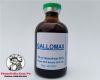 thuoc-nuoi-ga-da-gallomax-bo-sung-vitamin-cung-cap-nang-luong-hieu-qua-nhat-thi-truong-den-tu-mexico-chai-50ml - ảnh nhỏ  1